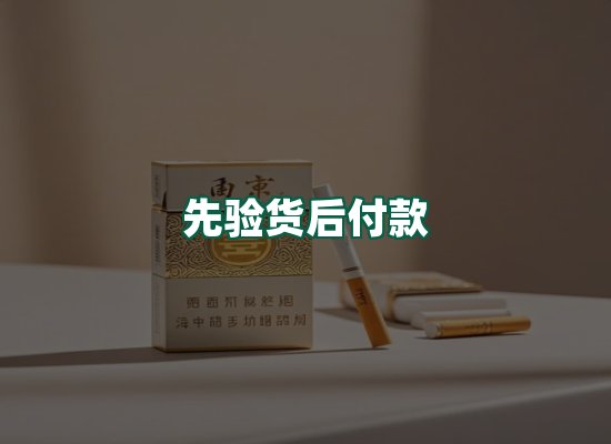 核心优势